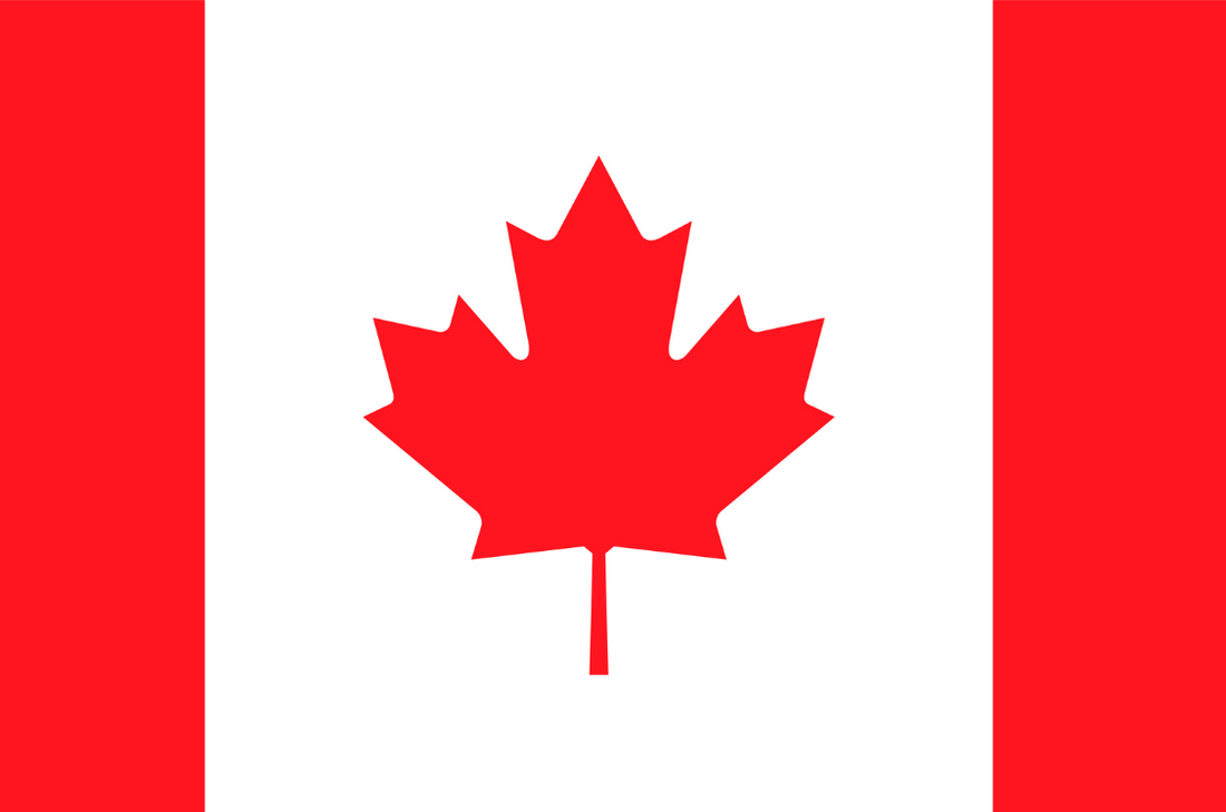 Canada's Premier Back Pain Pillow