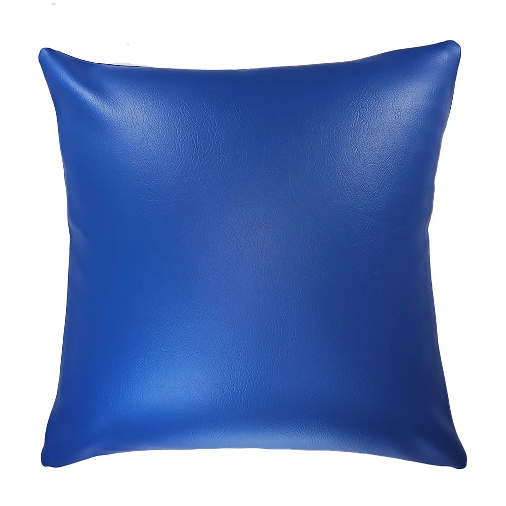 The OMG  Pillow Cover