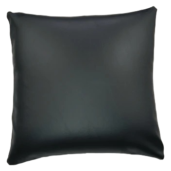 Black Vinyl New Style Pillow