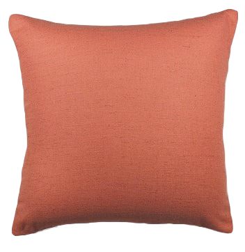 🍑 Peachy Keen fabric Pillow